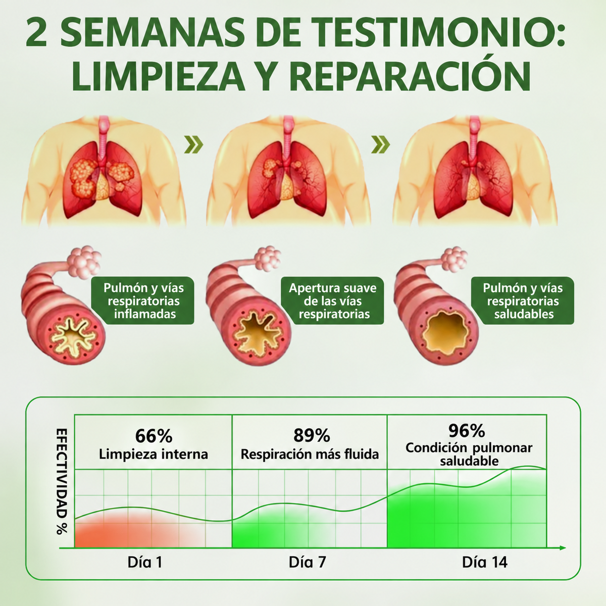 🍀GarageLine® Difusor Nasal Botánico LungCare con Gordolobo