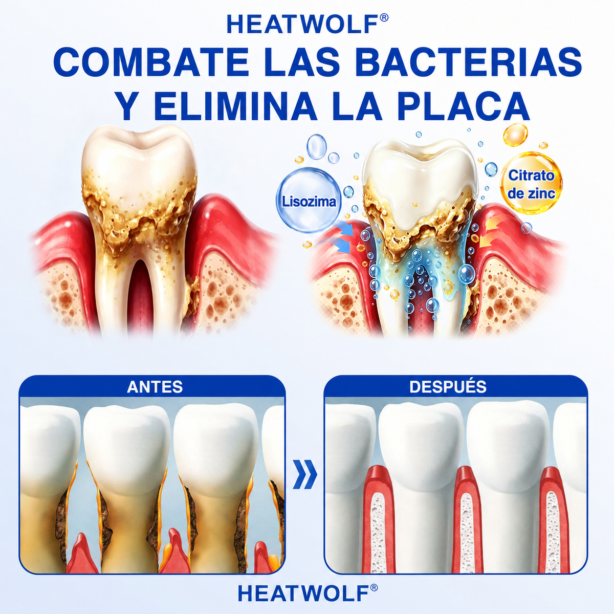 🇲🇽🍄🦷2️⃣ HEATWOLF® GumRevive Gel Reparador Periodontal